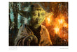 Master Yoda by Christopher Clark | Star Wars