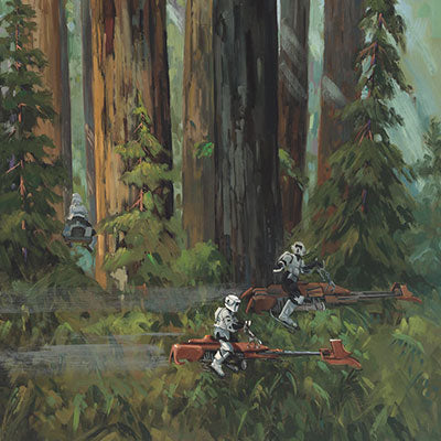Forest Pursuits by Liné Tutwiler | Star Wars