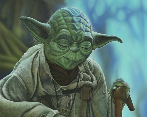 Yoda by Damien Friesz | Star Wars